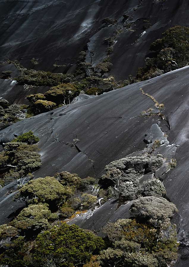 Granite of Kinabalu Park